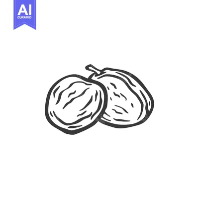Hand-Drawn Sketch of Two Dried Plums