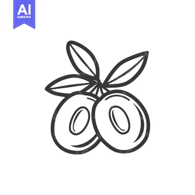 Hand-drawn sketch of two olives on a branch with leaves