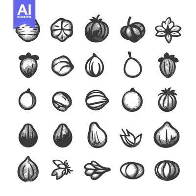 Hand-Drawn Sketch of Various Nuts and Seeds