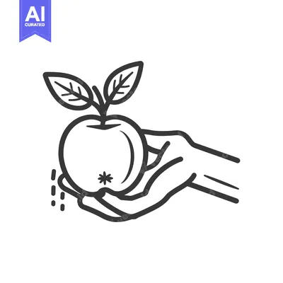 Aset premium populer: Hand Holding a Single Apple with a Leaf Stem