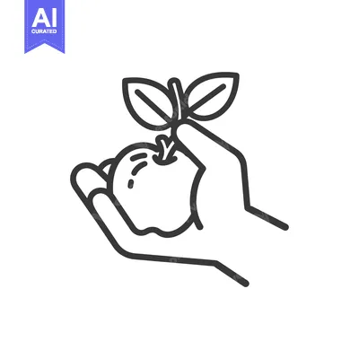 Aset premium populer: Hand Holding a Single Apple with a Stem and Leaves