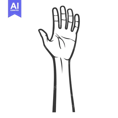 Premium design asset: An upwardly extended hand showing the palm and fingers clearly