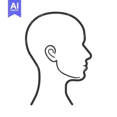 Aset premium populer: A simple outline drawing of a human head in profile