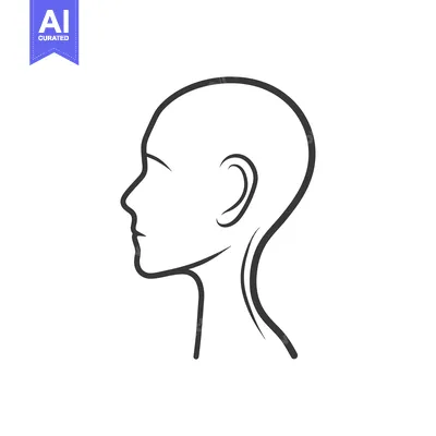 Premium design asset: Line drawing depicting the side profile of a human head