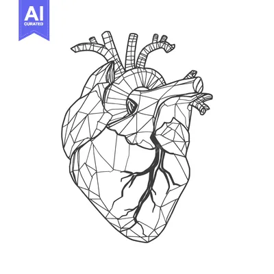 Aset premium populer: Geometric Heart Illustration: Anatomical Precision in Polygonal Design