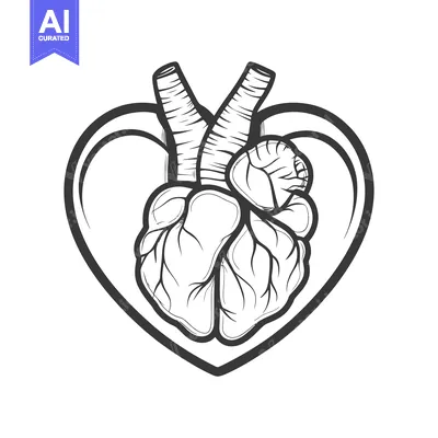 Aset desain premium: A simplified black and white anatomical heart illustration within a sh