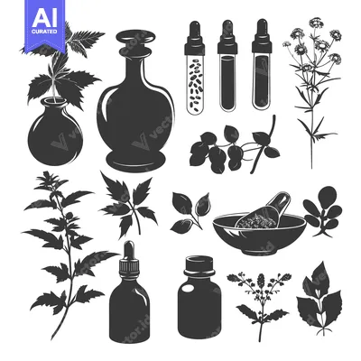 Aset desain premium: Herbal Medicine and Essential Oil Elements in Silhouette