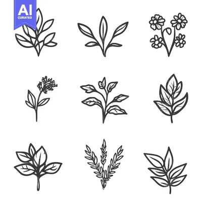Premium design asset: Simple Line Drawings Displaying Various Floral and Leafy Elements