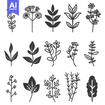 Aset premium populer: Simple illustrations featuring different plant leaves and floral eleme
