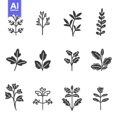 Aset desain premium: Black and white vector drawings of varied leaf specimens displayed