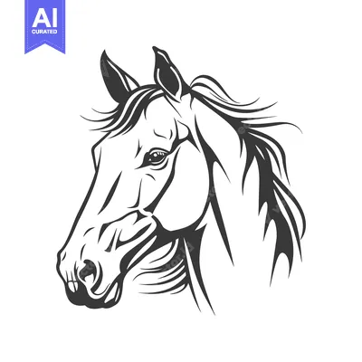 Premium design asset: A monochrome illustration depicting the head of a strong equine animal
