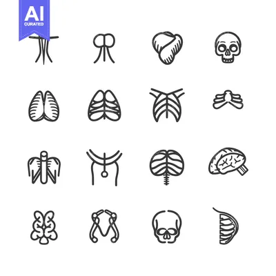 Aset desain premium: Human Anatomical Outline Icons