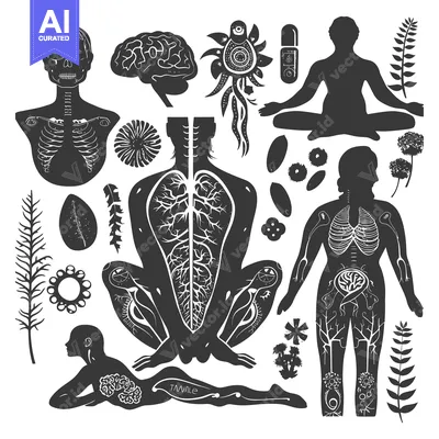 Aset premium populer: Human Anatomy and Body Systems with Various Floral Elements