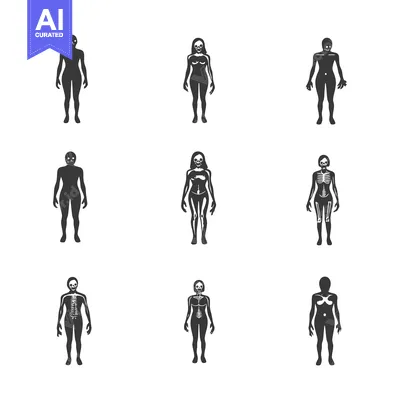 Premium design asset: Human Body Outline with Skeleton and Skull