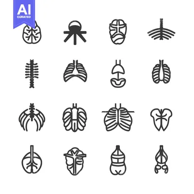 Aset premium populer: Human Internal Organs and Spinal Column Line Icons