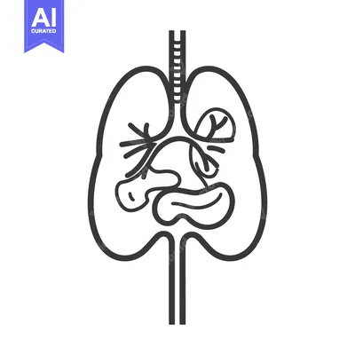 Black and white stylized illustration of human respiratory system