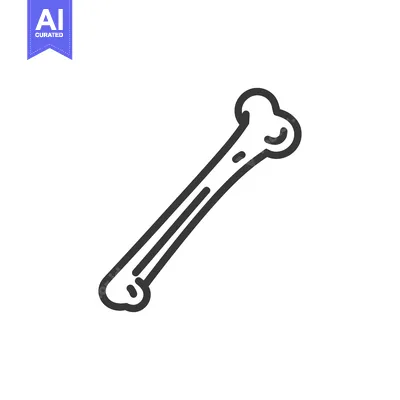 Popular premium asset: Minimalist Bone Icon: Anatomical Outline on White Background