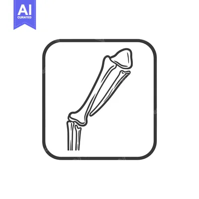 Aset desain premium: Stylized Bone Icon: Minimalist Anatomy Illustration in Rounded Square