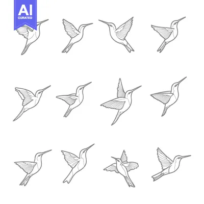 Aset premium populer: Hummingbird Animation Frames in Flight