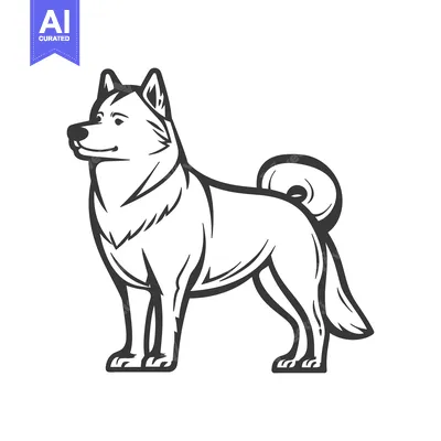 Aset premium populer: A stylized black and white standing dog illustration on white backgrou