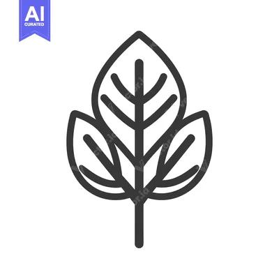 Aset premium populer: Detailed simple outline illustration of a three lobed leafy plant
