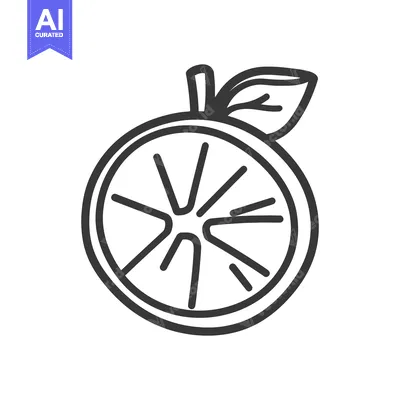 Aset desain premium: A stylized black and white illustration of a citrus fruit slice