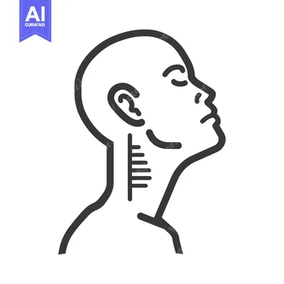 Popular premium asset: A side view illustration depicts a human head and neck