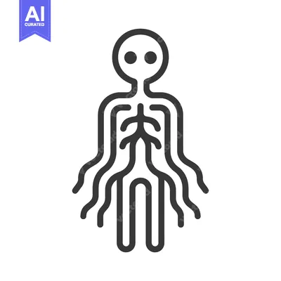 Aset desain premium: A diagrammatic depiction of a human body and circulatory system