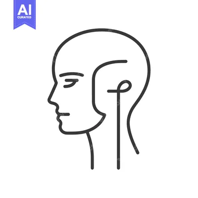Popular premium asset: A minimalist black outline illustration depicts a human head profile