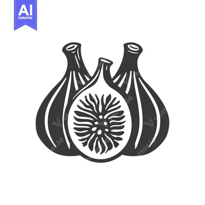 Illustration of Two Whole Figs and One Sliced Fig