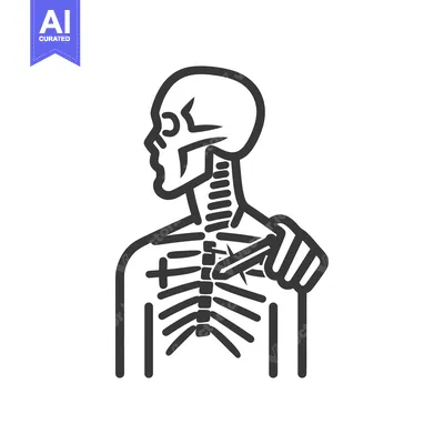 Premium design asset: A stylized illustration of a human skeleton pointing towards itself