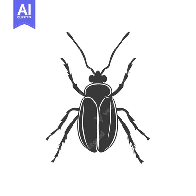 Premium design asset: Simple graphic illustration of a black insect beetle on white backgrou