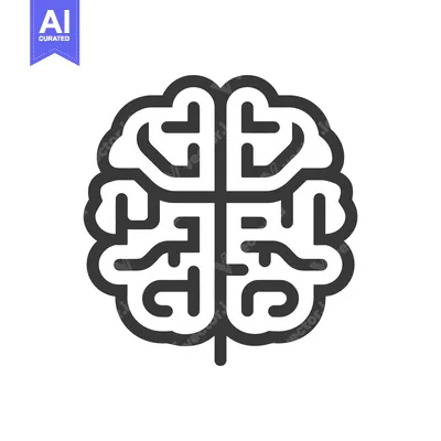 Popular premium asset: A simple graphic representation of the human brain structure