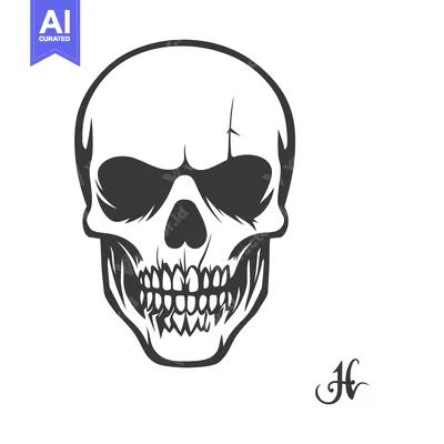Aset desain premium: A stylized black and white image of a human skull