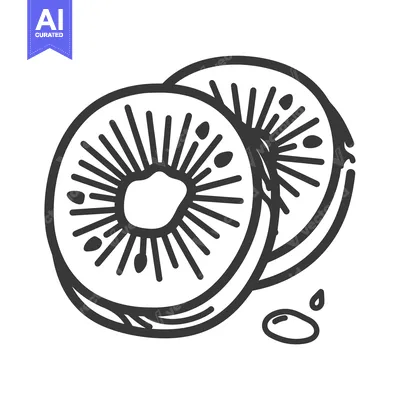 Aset desain premium: Kiwi Fruit Slices Doodle Illustration