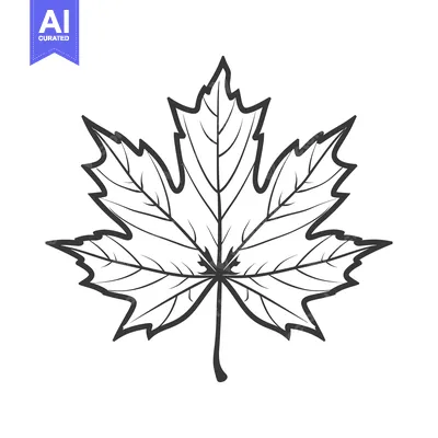 Premium design asset: A detailed monochrome depiction of a single maple leaf