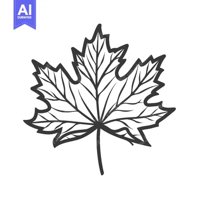 Aset premium populer: A stylized outline depiction of a single maple leaf