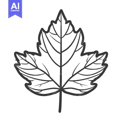 Aset desain premium: A detailed drawing of a single outlined leaf shape