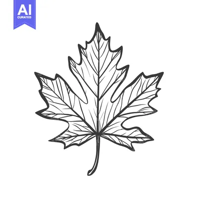 Aset desain premium: A detailed illustration of a single autumn leaf on white background