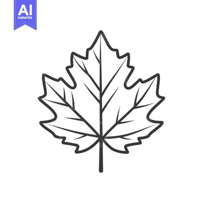 Aset desain premium: A detailed outline illustration of a simple maple leaf image