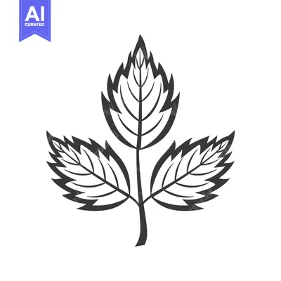 Popular premium asset: Simplified illustration depicting three leaves connected by a stem
