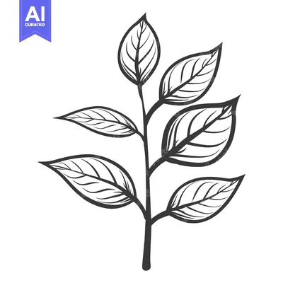 Premium design asset: A simple artistic rendering of a plant branch with leaves