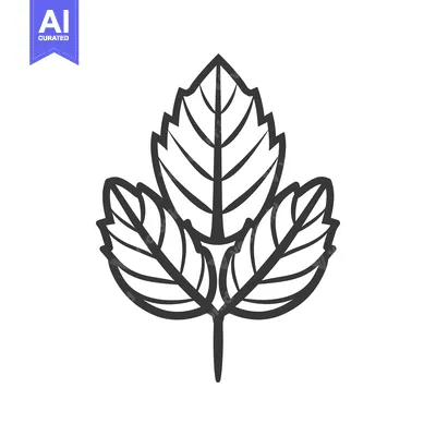 Aset desain premium: A simple vector illustration depicting a leaf with three leaflets