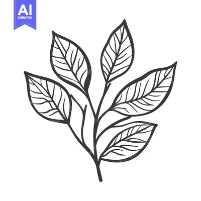 Popular premium asset: A simple illustration of a plant branch with leaves on display