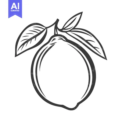 Aset desain premium: A single lemon with green leaves on a white background