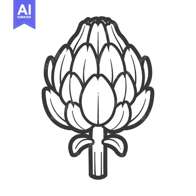 Aset premium populer: Line art drawing of an artichoke with a stem