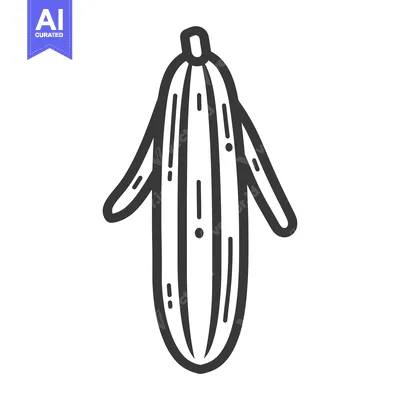 Aset premium populer: Line art drawing of a peeled cucumber