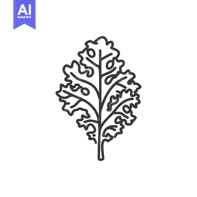 Aset desain premium: Line art drawing of a single curly leaf