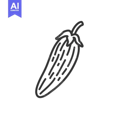 Popular premium asset: Line Art Drawing of a Single Green Pepper