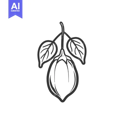 Aset premium populer: Line Art Drawing of a Single Lemon with Leaves